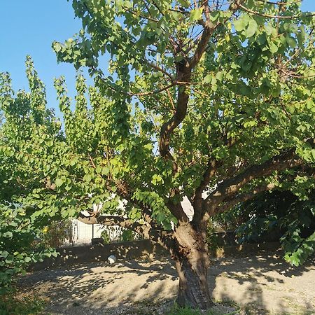 לונל Villa Dans Le Sud מראה חיצוני תמונה